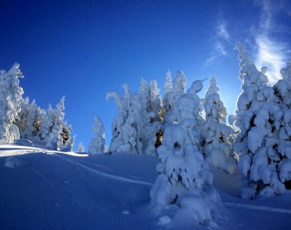 La Plagne